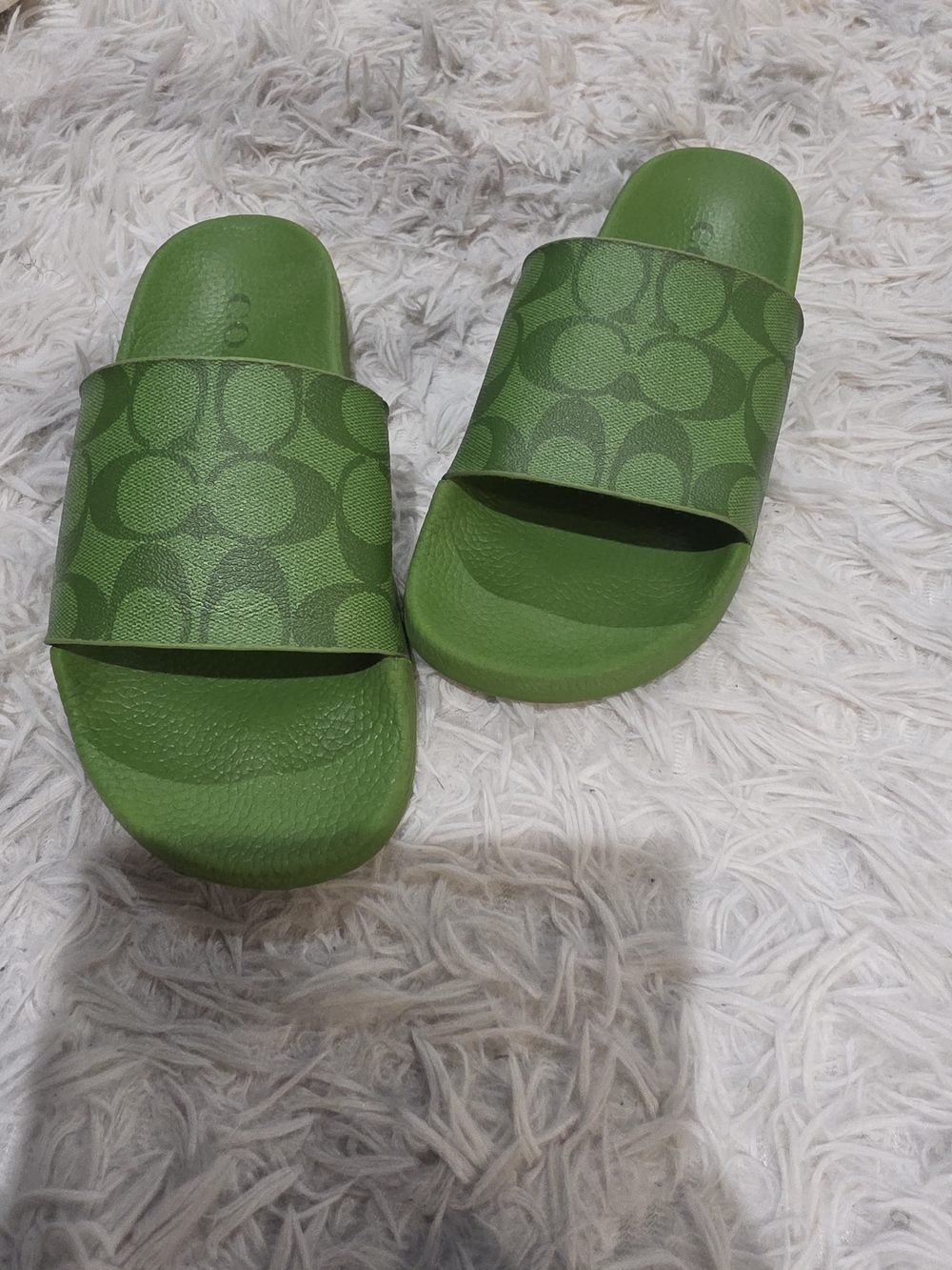 Coach Green Signature Slide Sandals